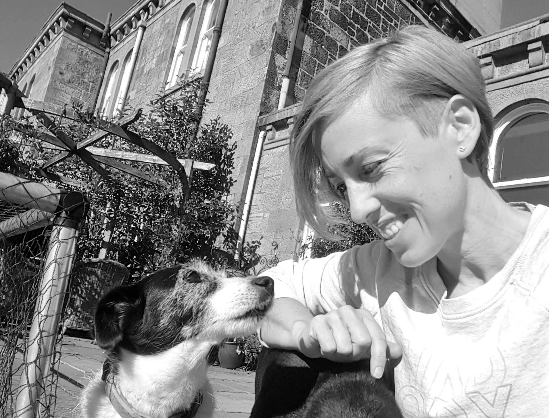 The Dog Coach Glasgow Dog Training Glasgow, Obedience Behaviour